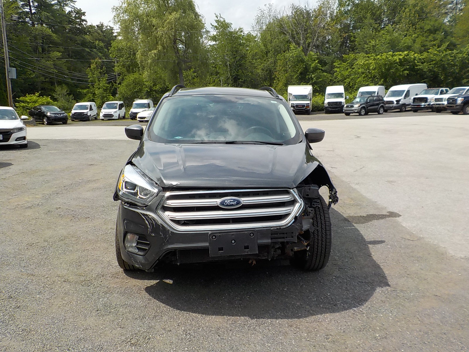 Ford Escape Image 2