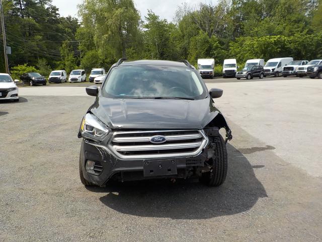 Ford Escape Image 2