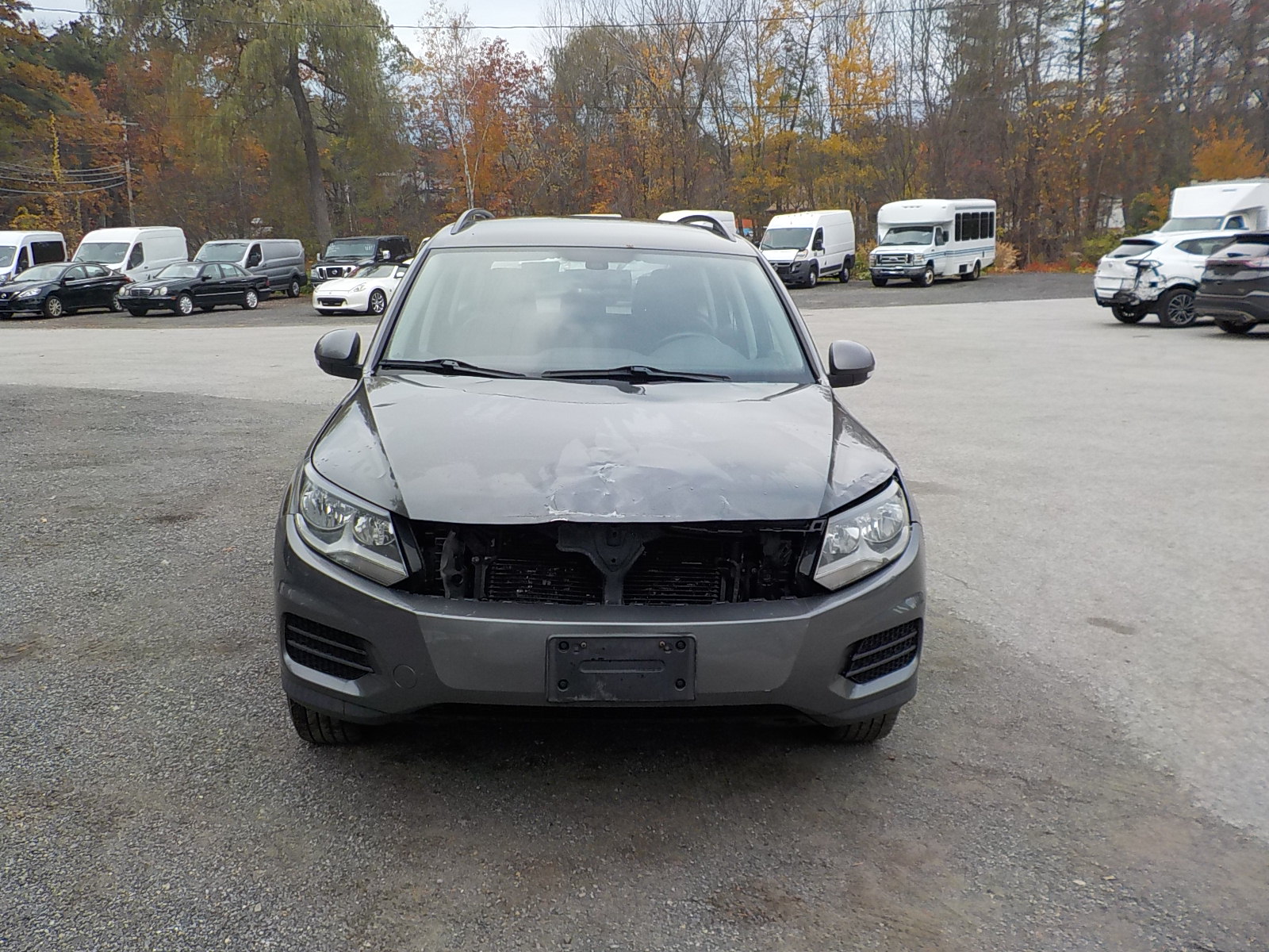 Volkswagen Tiguan Image 2