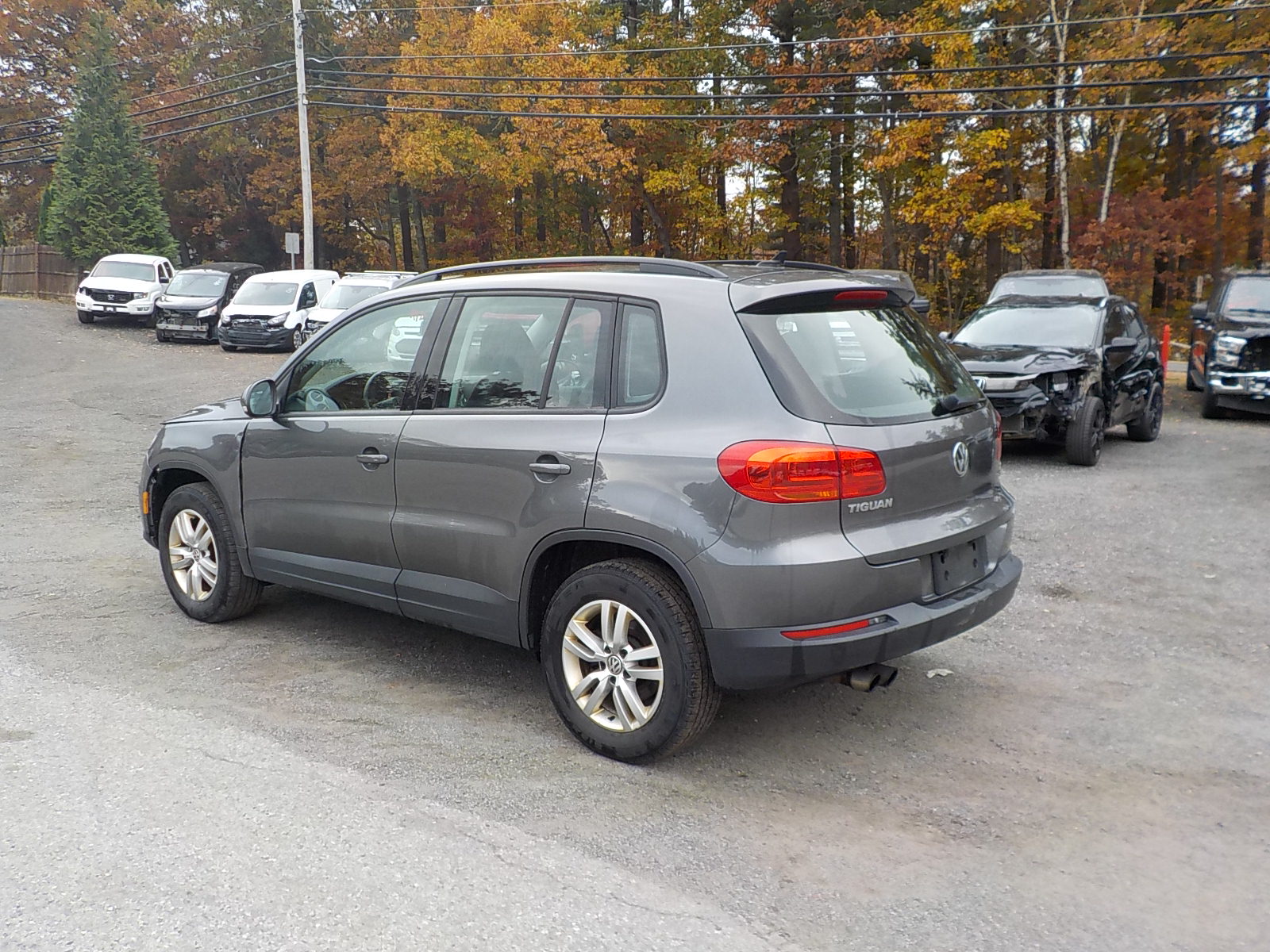 Volkswagen Tiguan Image 4