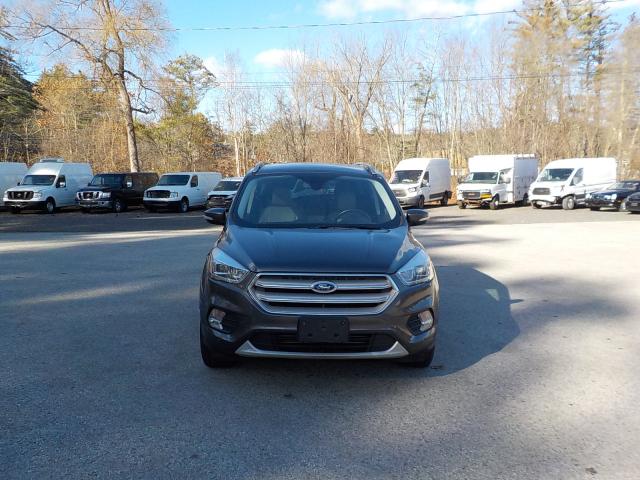 Ford Escape Image 2