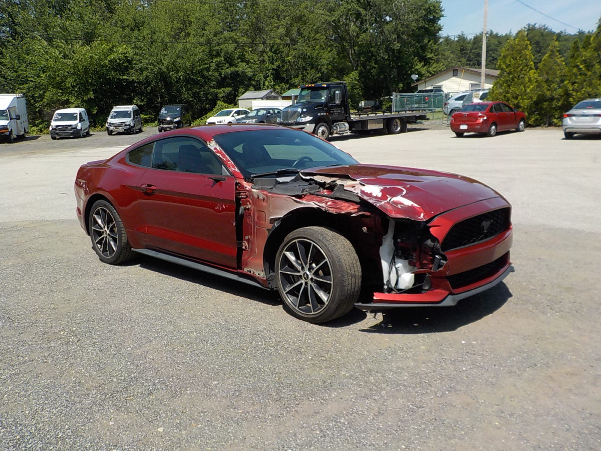 Salvage Ford Mustang Image