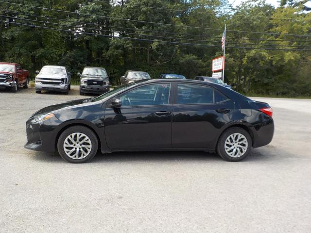 Toyota Corolla Image 5