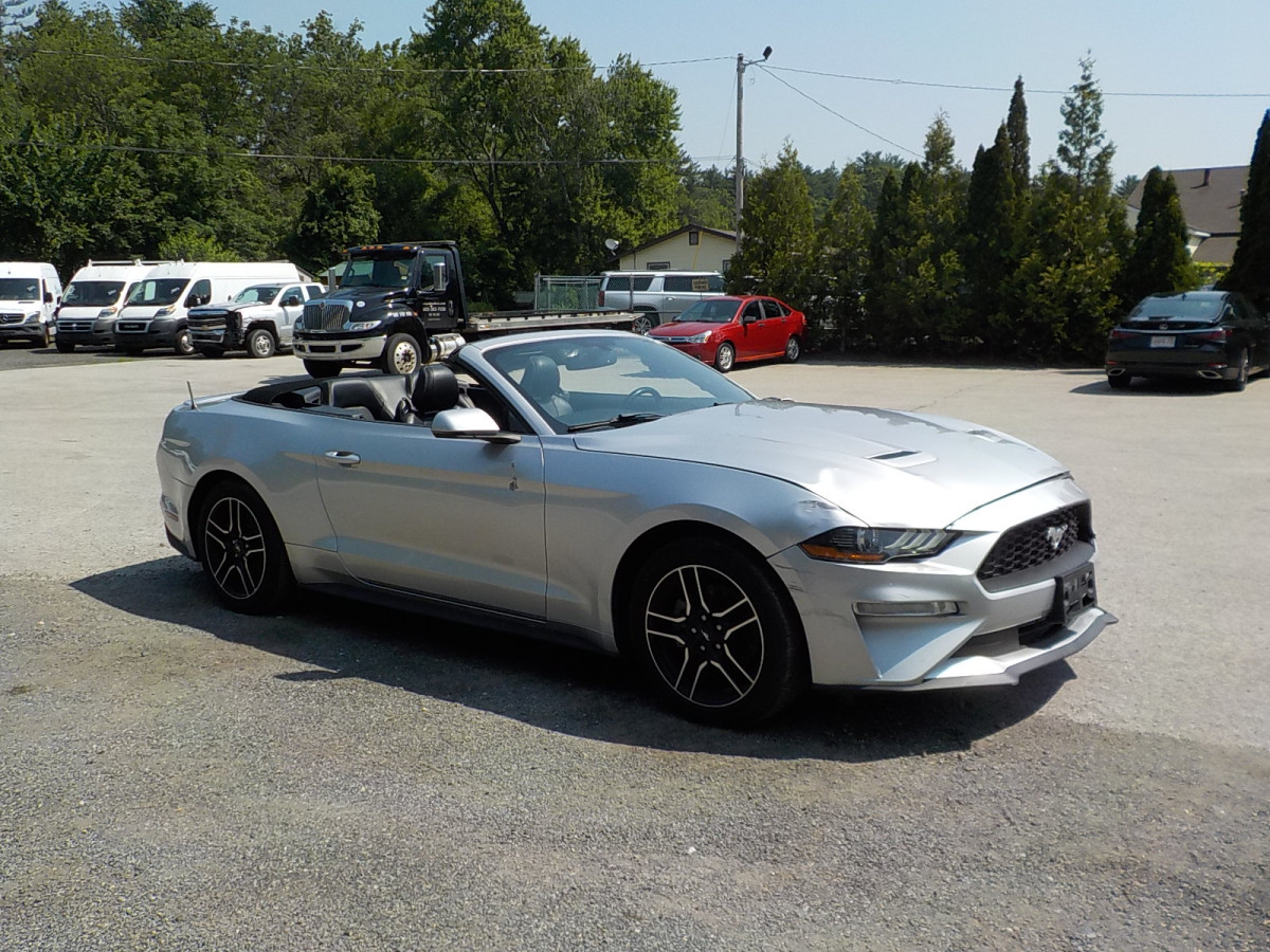 Salvage Ford Mustang Image