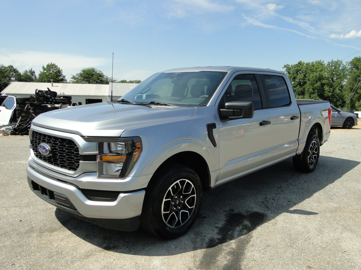 Salvage Ford F-150 Image